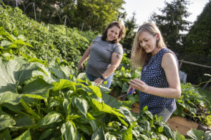 More than Veggies Sown at ‘The Garden’